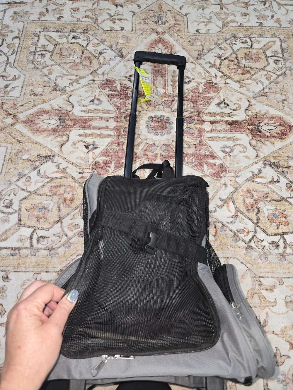 Gray Mesh Pet Carrier Rolling Backpack
